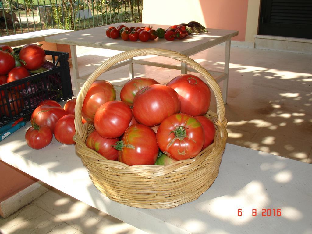 Villa Magia Ipsos Bagian luar foto