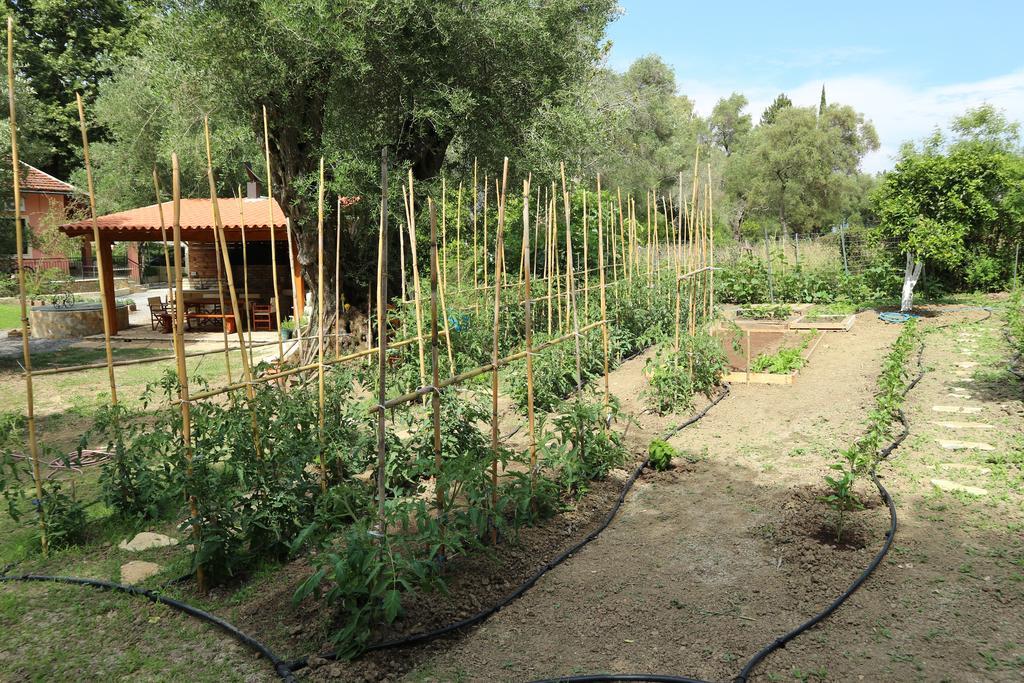 Villa Magia Ipsos Bagian luar foto