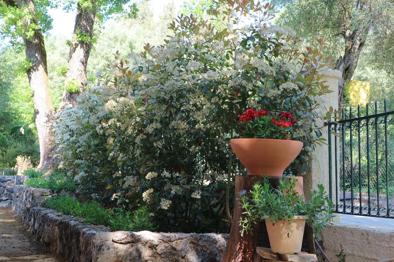 Villa Magia Ipsos Bagian luar foto